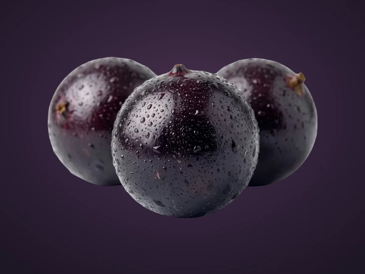 Frutos de açaí, base da linha de superalimentos