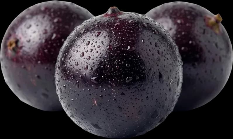Açaí Oakberry