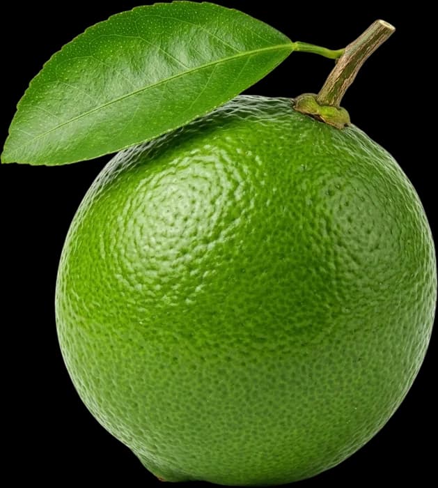 Supra Limes