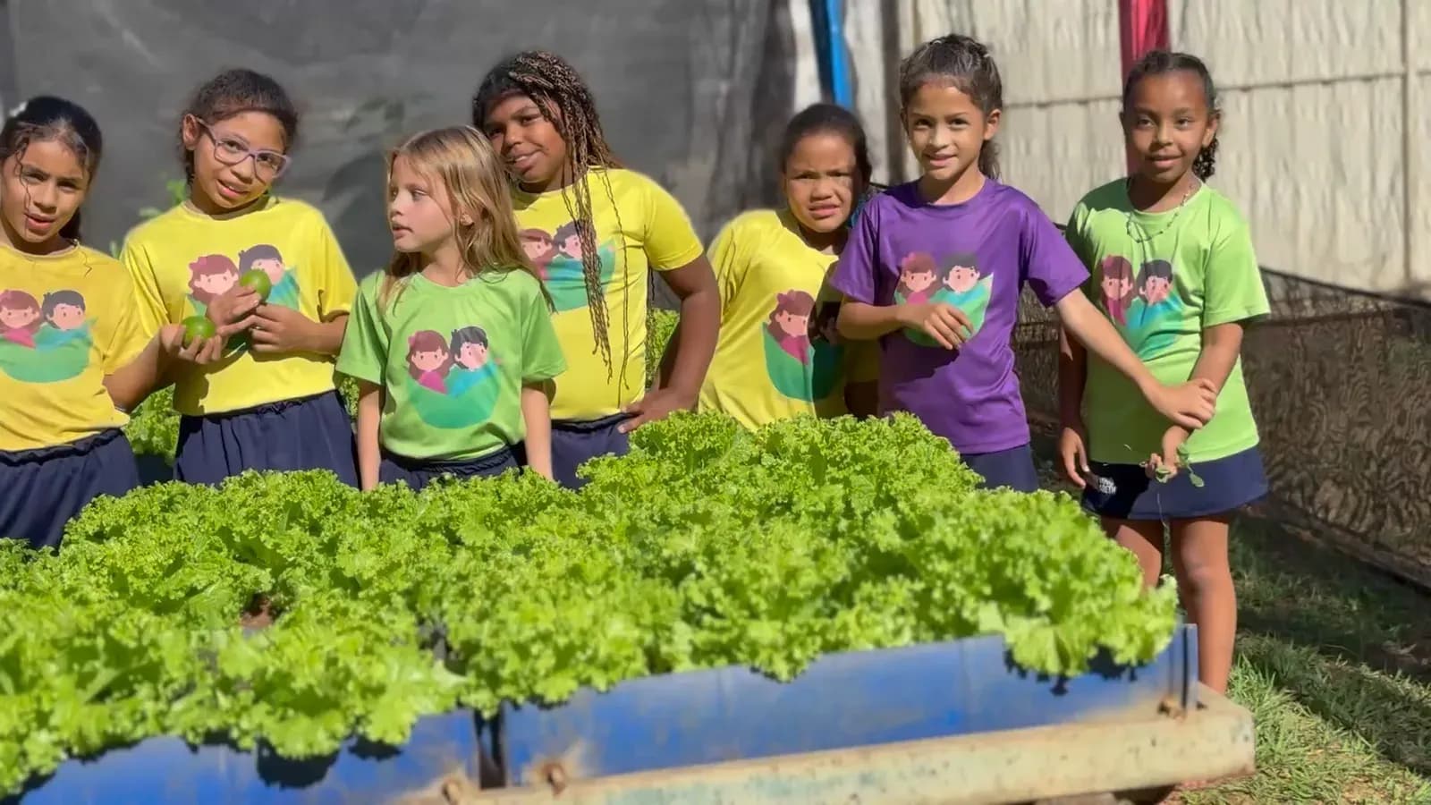 Cultivo de hortaliças no Instituto Vovó Maria Nazareth