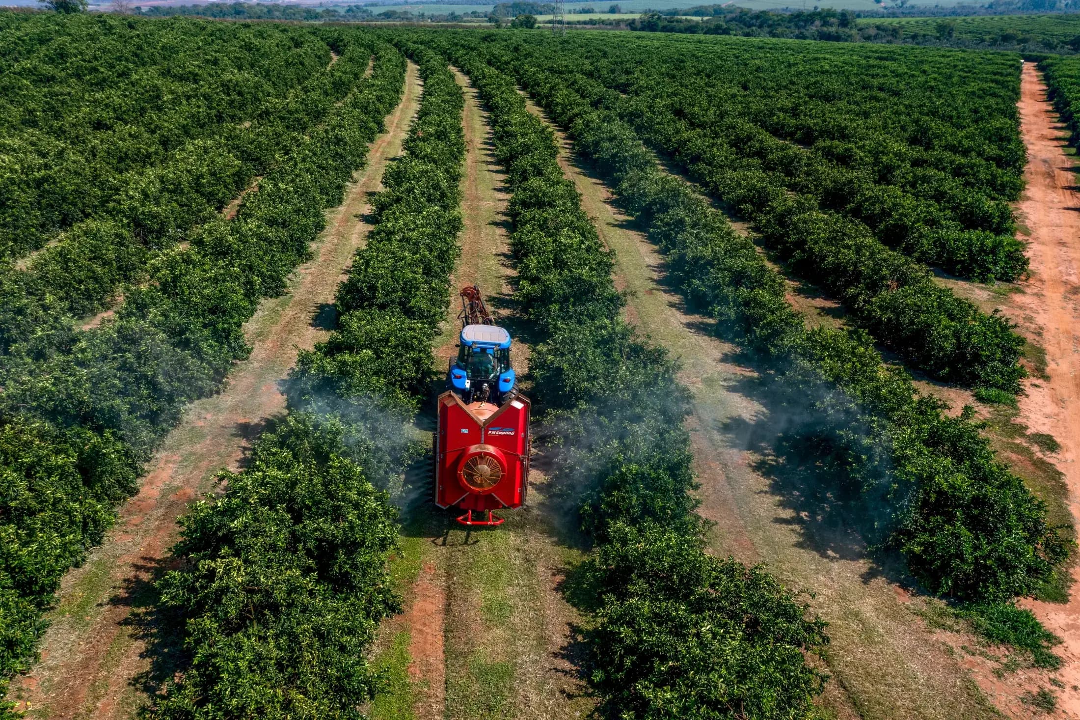 Aerial view of biological management in Supracitrus orchards